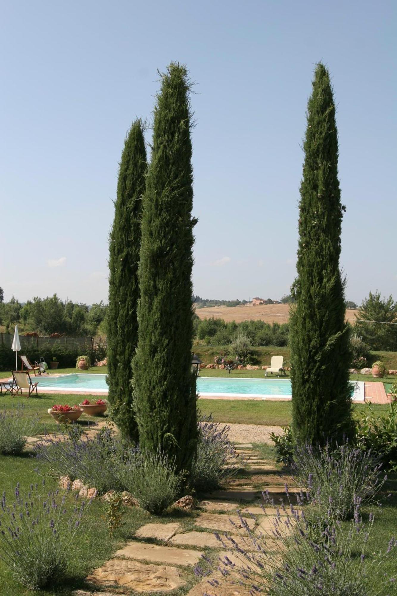 Agriturismo Renaccino Siena Zewnętrze zdjęcie